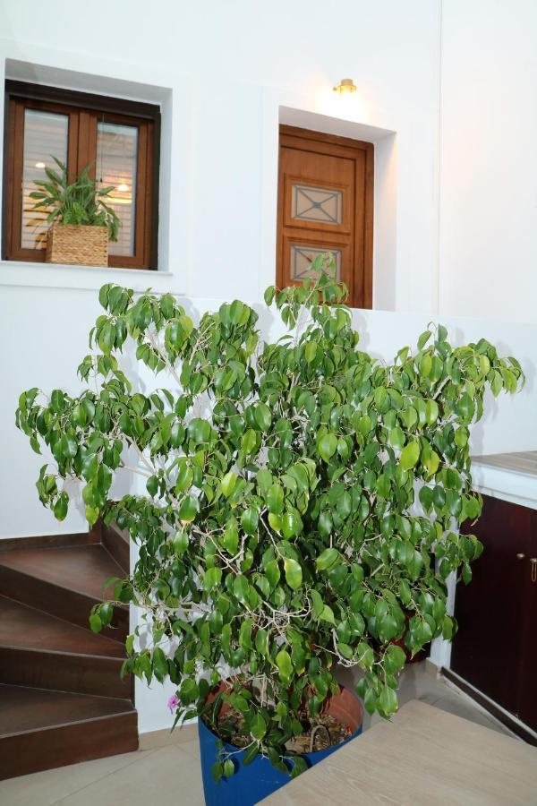Angelica'S Deluxe Rooms In Adamas מראה חיצוני תמונה